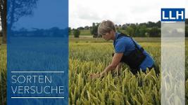 Landessortenversuch LLH