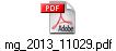 mg_2013_11029.pdf